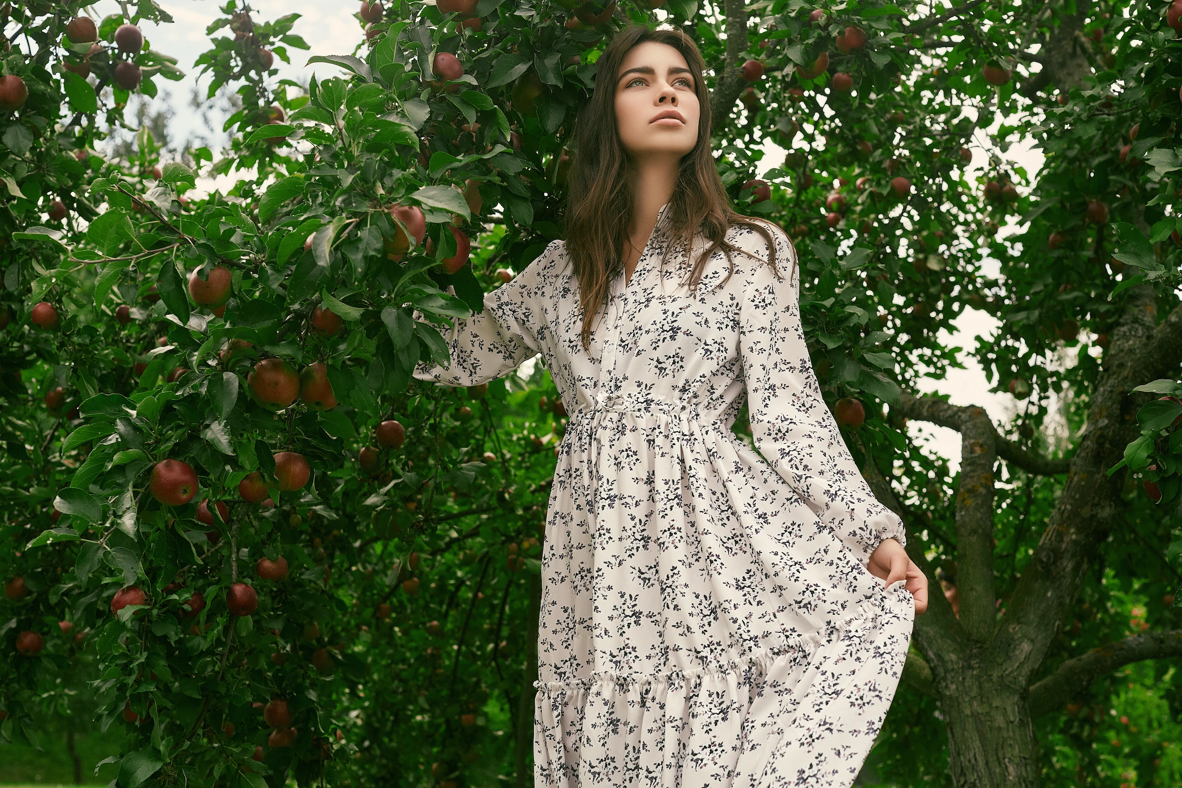 Woman in modest dress picking fruit from tree